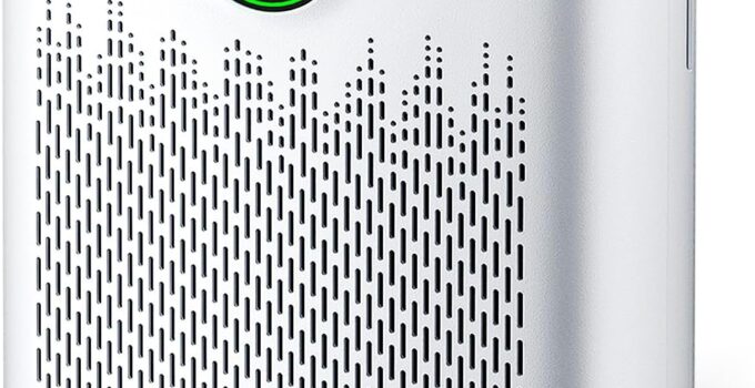 ecoself air purifier review