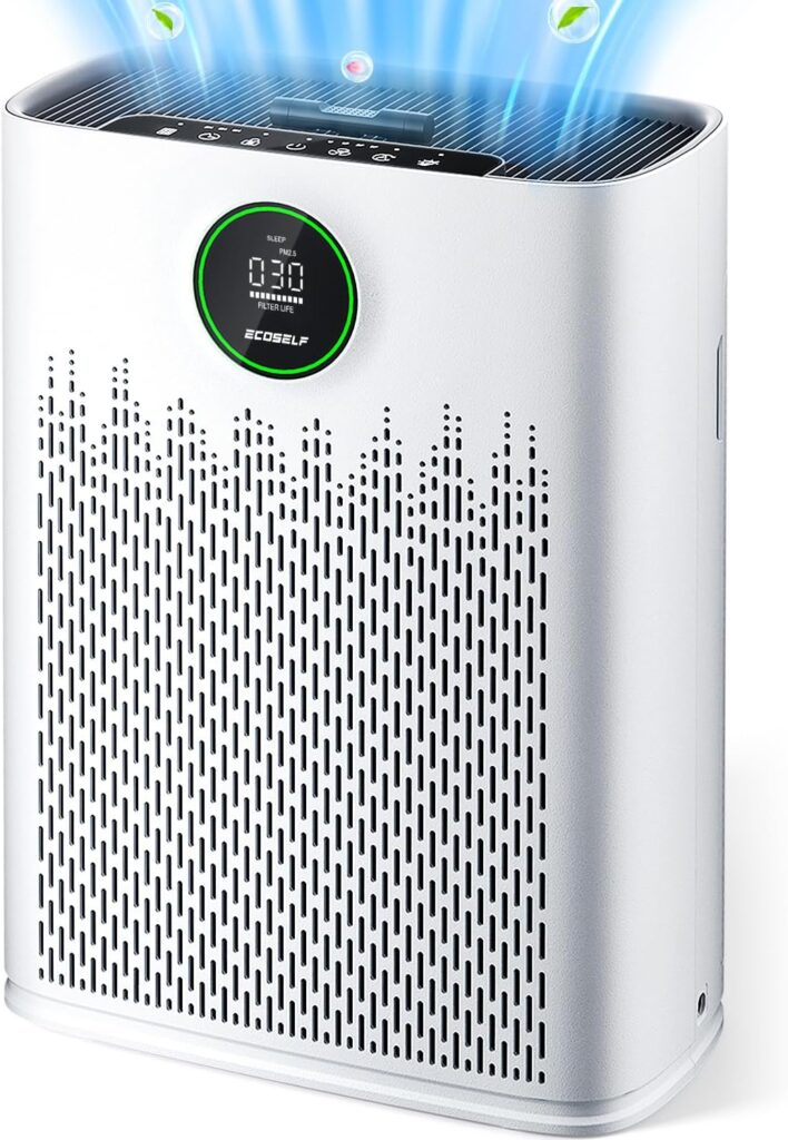 ecoself air purifier review