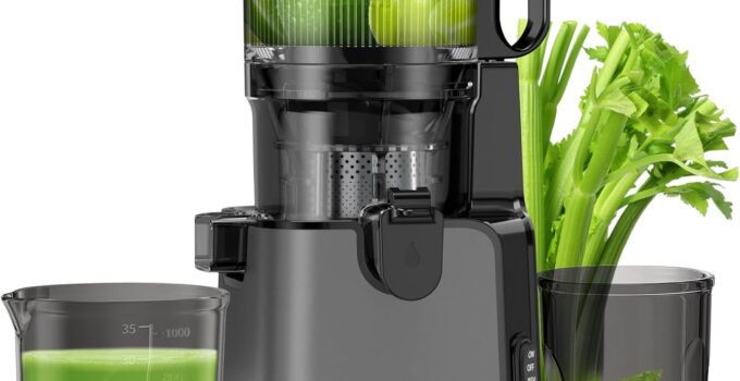 YPONE juicer review