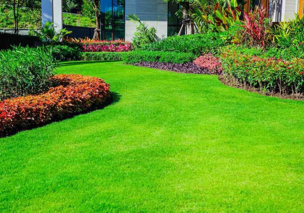 how to use the 4 in 1 lawn feed