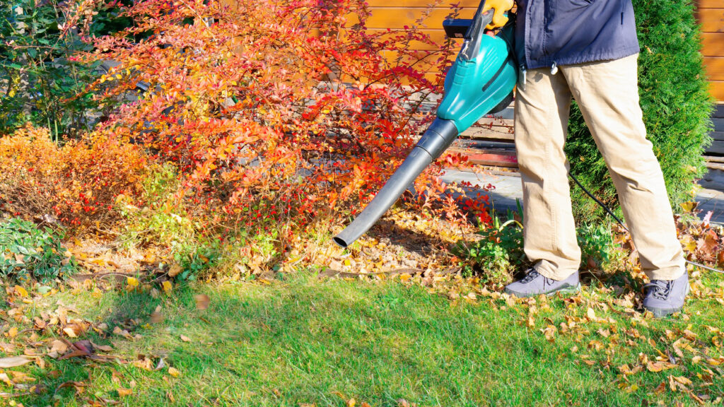 How much should you spend on a leaf blower?