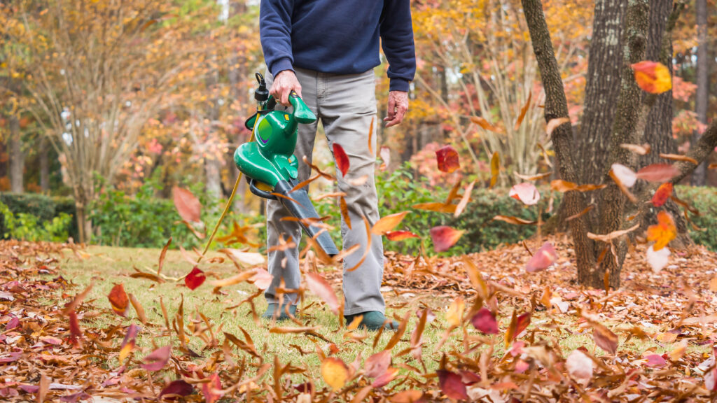 What should you look for when buying a leaf blower?
